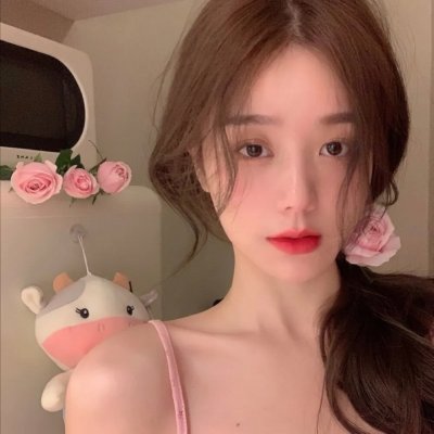 超级救援狗