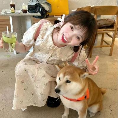 惊弓之岛