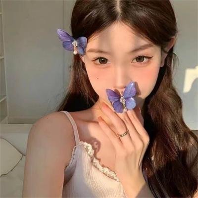 亚森·罗宾第三季